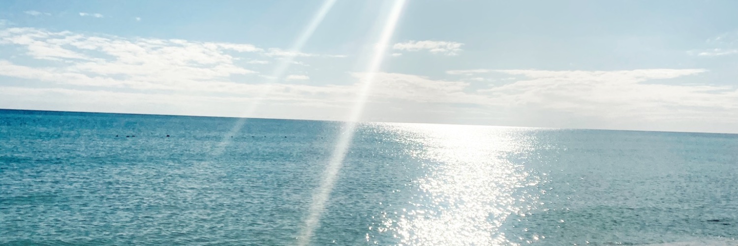 emKOZer's profile banner image