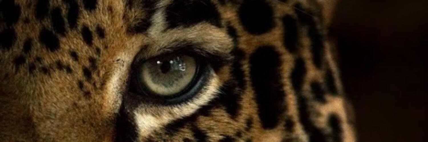 Victoria Hudson banner