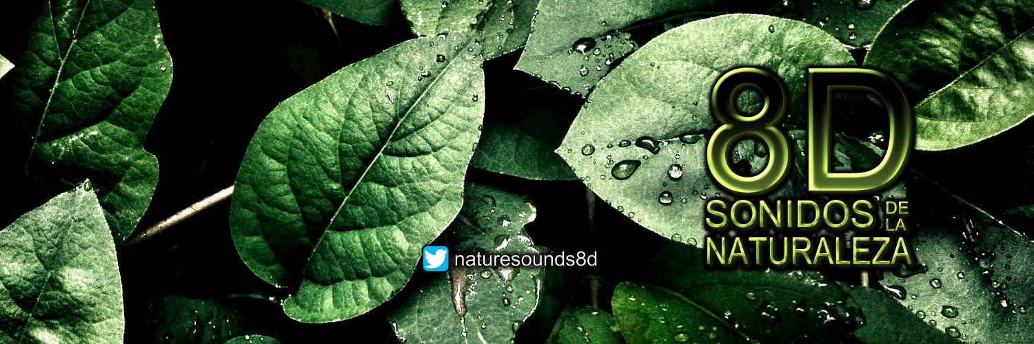 naturesounds8d's profile banner image