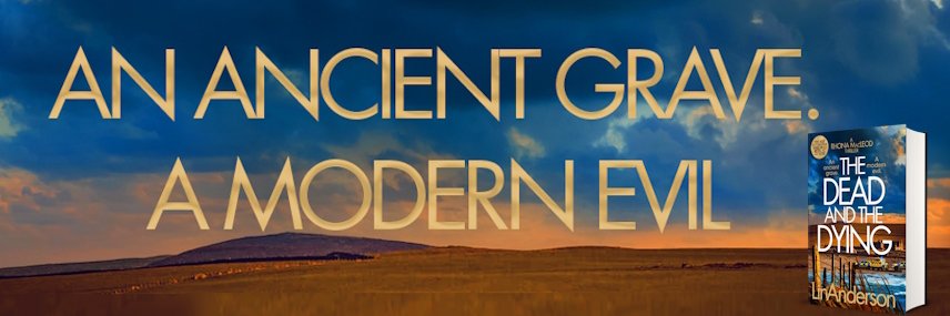 Lin Anderson's banner