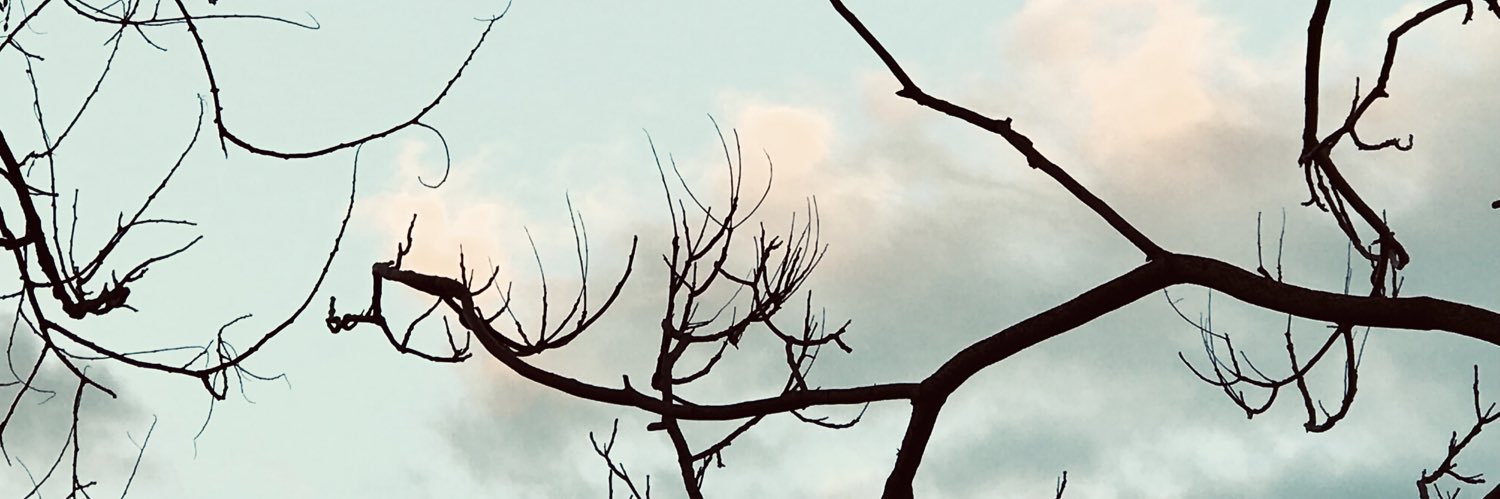 burcu börü banner