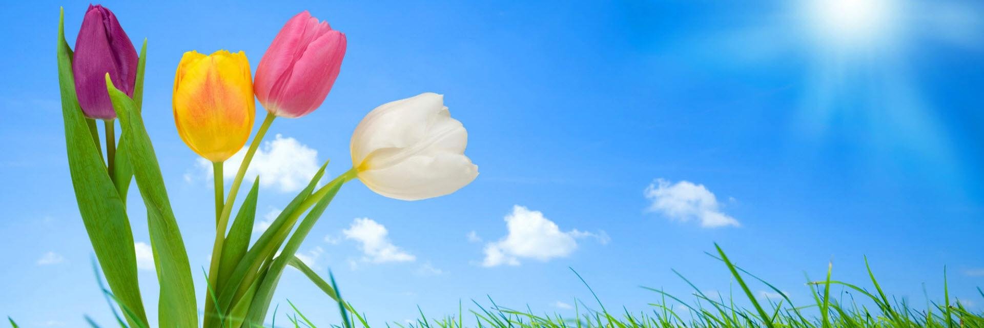 charutweets's profile banner image