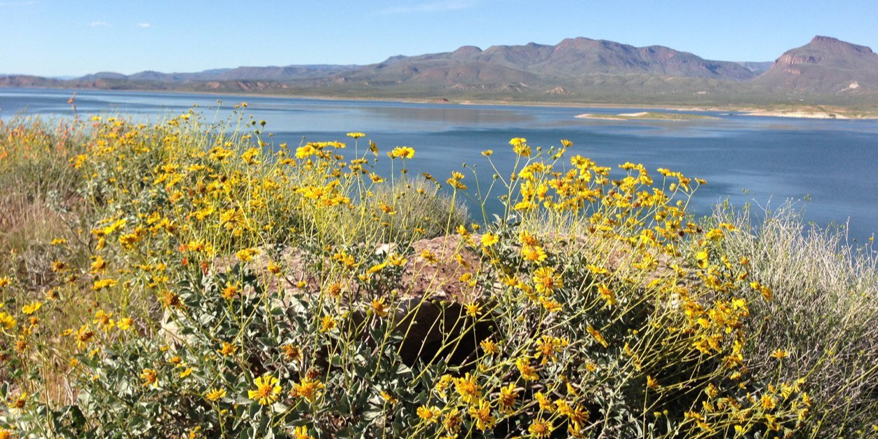 Payson Roundup banner