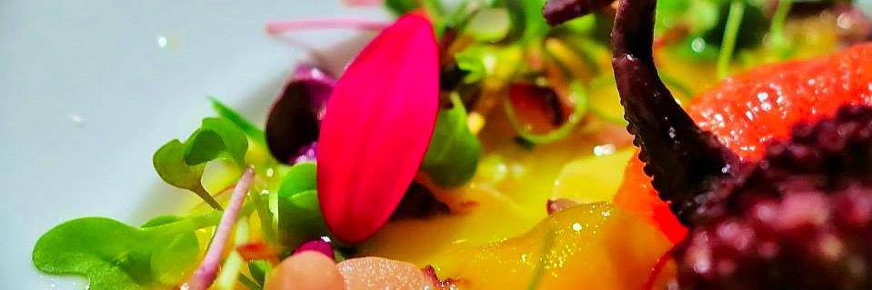 TopChefCANRene's profile banner image
