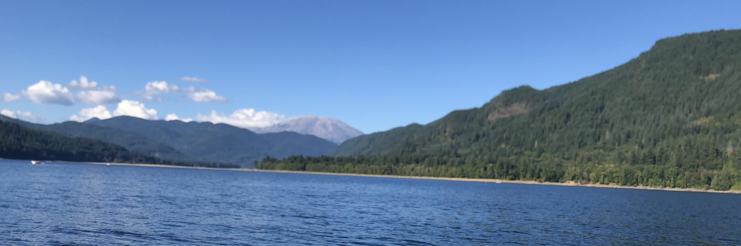 amytherose's profile banner image