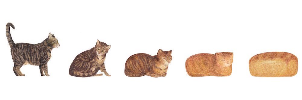 Hi im Paris 🫠 banner