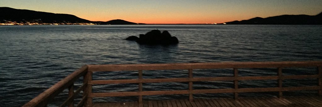 pedrobelatto's profile banner image