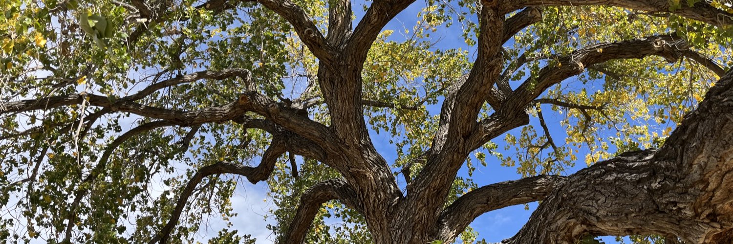 dallasacook's profile banner image