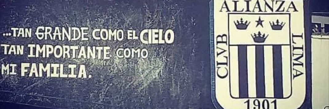 Furia aliancista💙🤍💙 banner