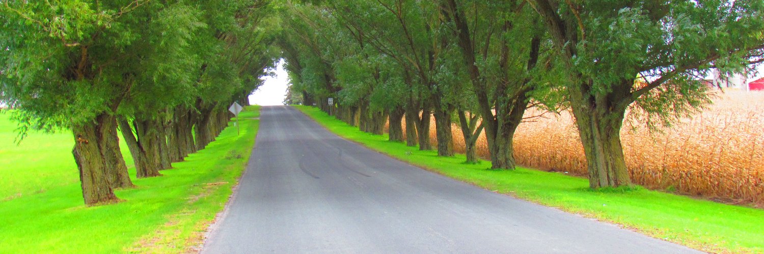 Canadian eh 🇨🇦 banner