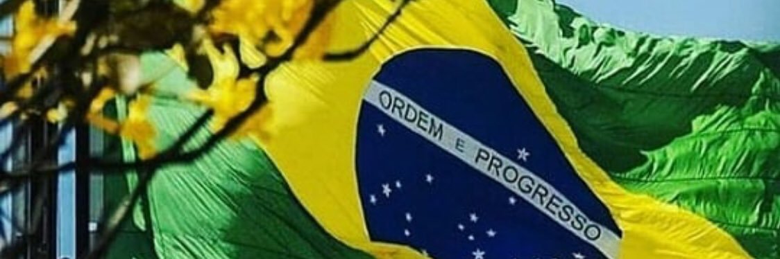 NiBolsonaro's profile banner image