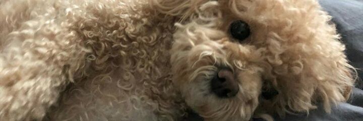 Yeah__Eddie's profile banner image
