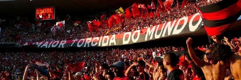 Rodrigo Taveira banner