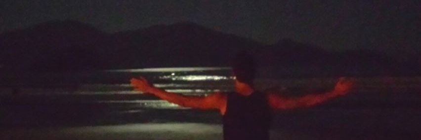 Pedrinzao's profile banner image