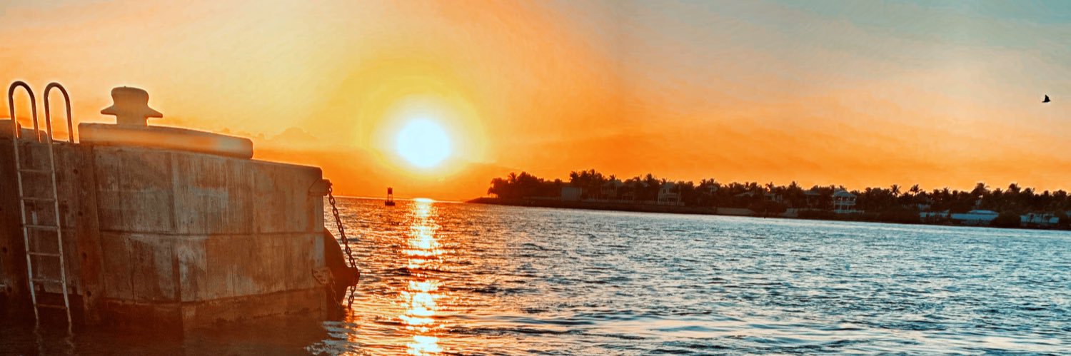 D_Sims3's profile banner image
