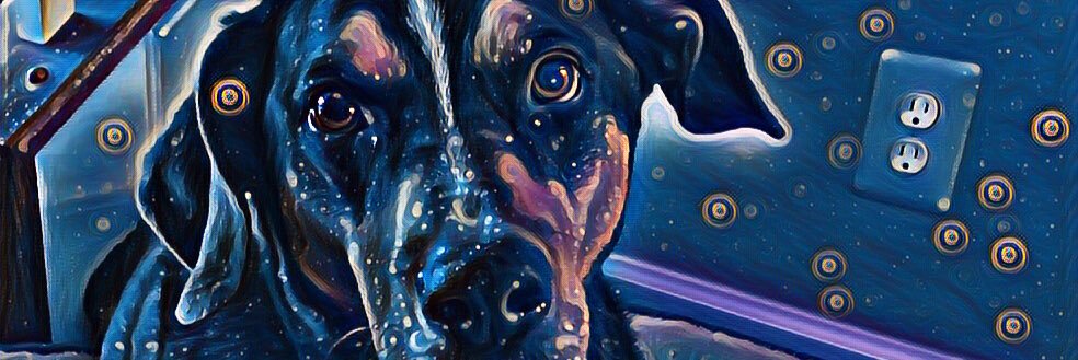 arissazm4's profile banner image