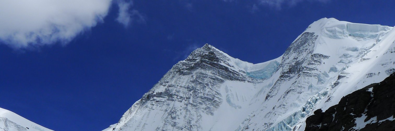 shonanian's profile banner image
