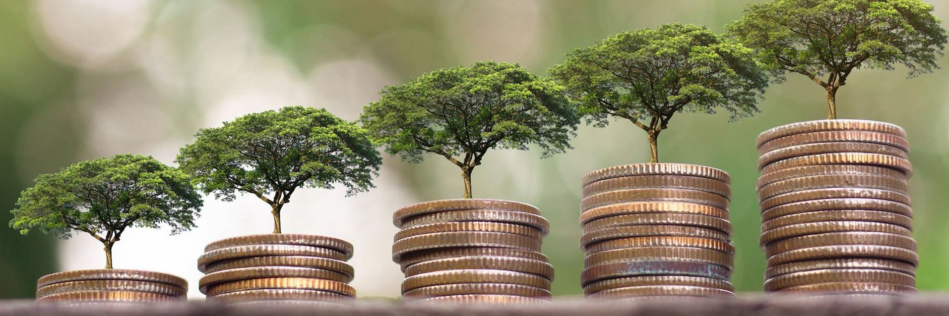 Impact Capital Forum banner