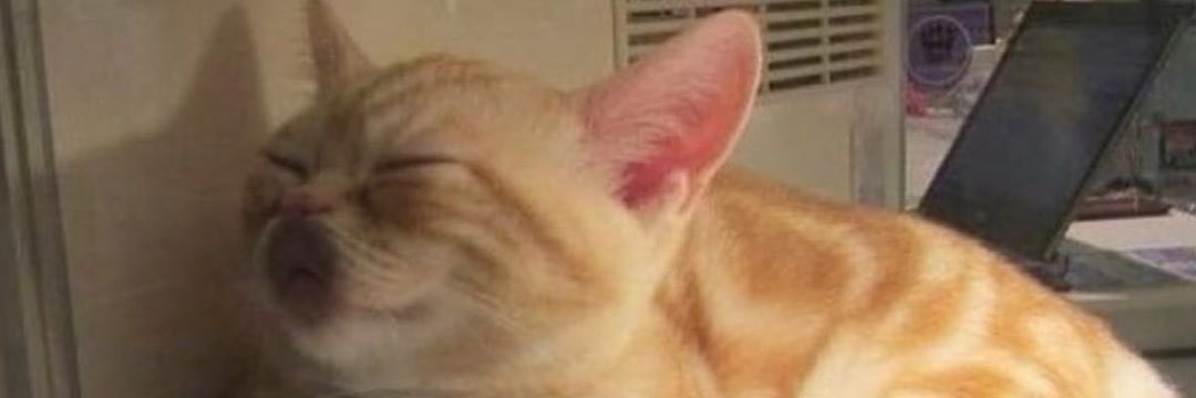 dwiutami45's profile banner image
