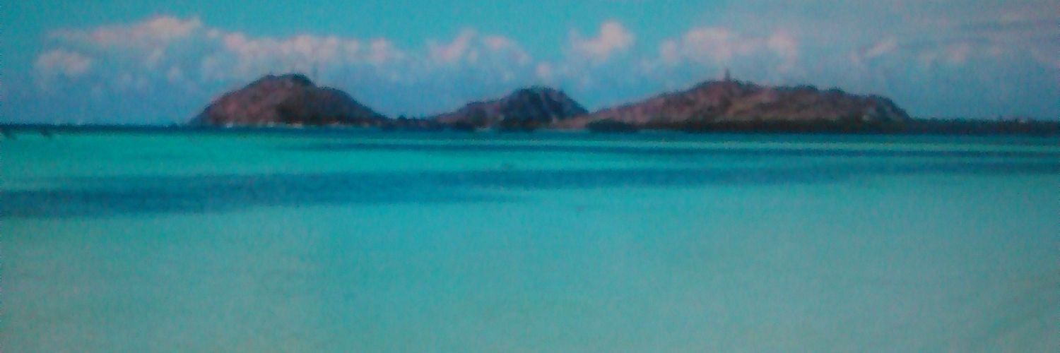 AlejandraCalore's profile banner image