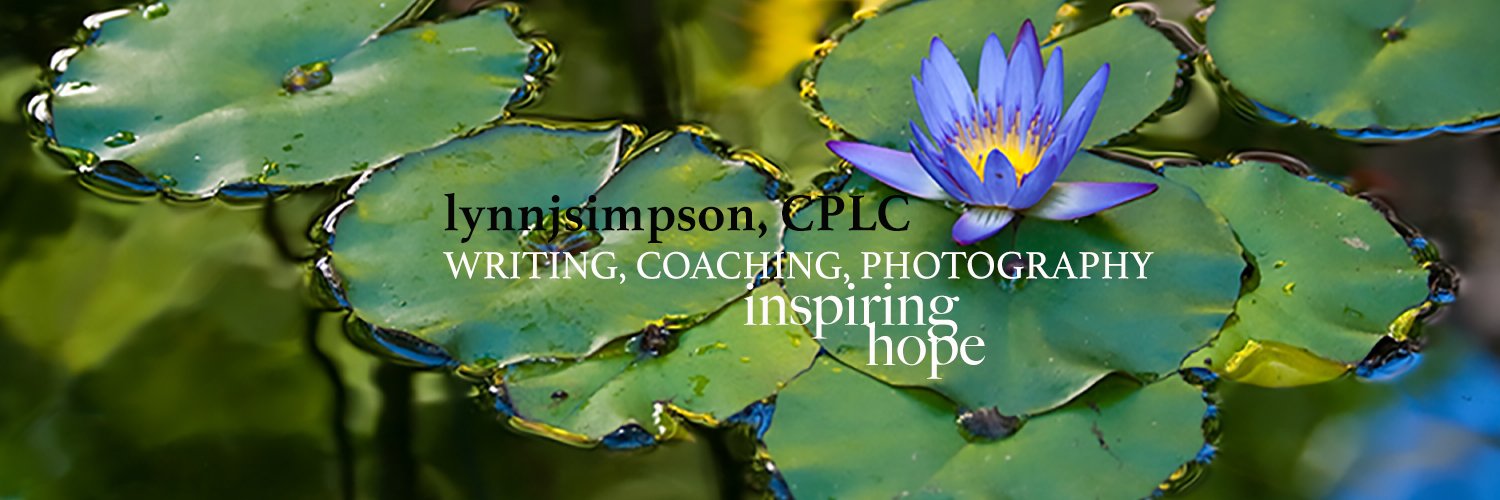 LynnJSimpson's profile banner image
