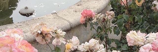 MrsBiancaJagger's profile banner image