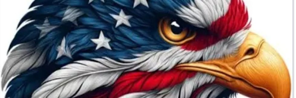 trinitypatriot's profile banner image