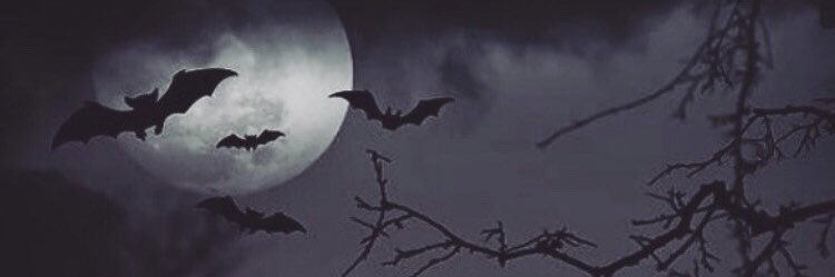 ghostwthemostxx's profile banner image