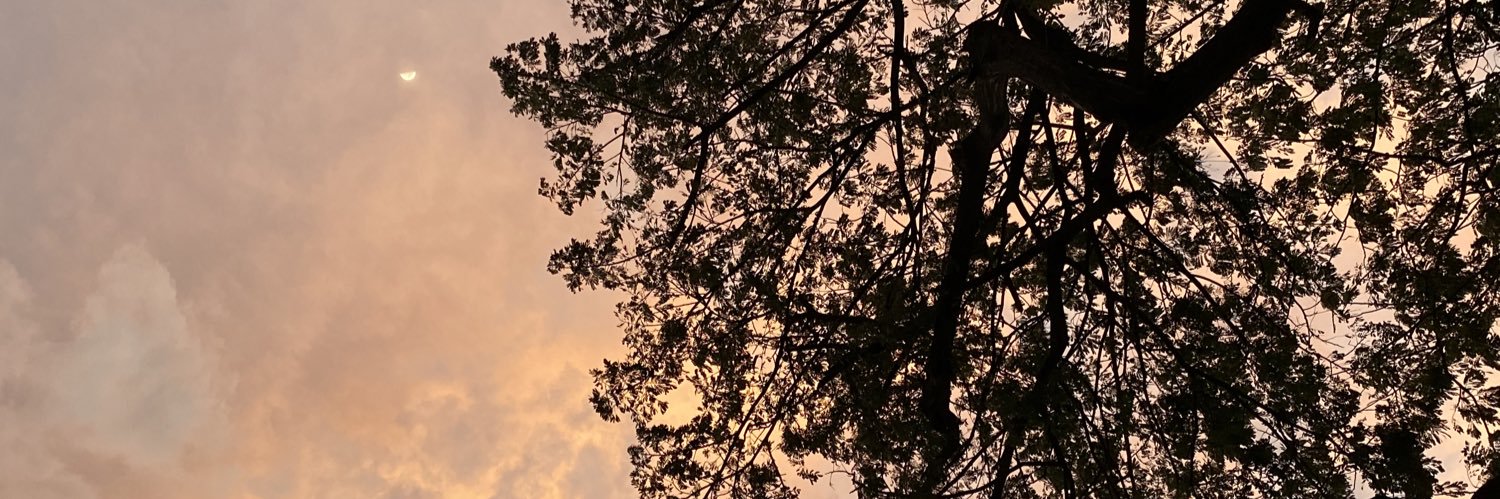 SoofiBaquerizo's profile banner image