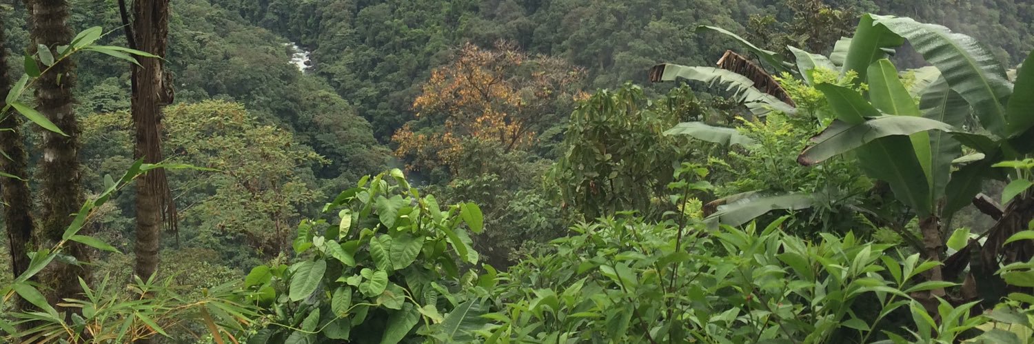 jennymarlen's profile banner image