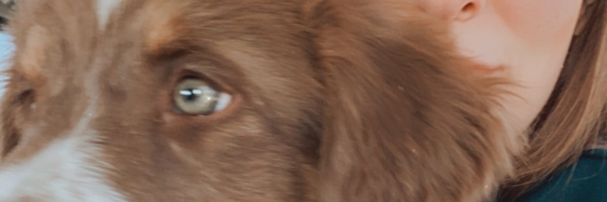 marialack's profile banner image