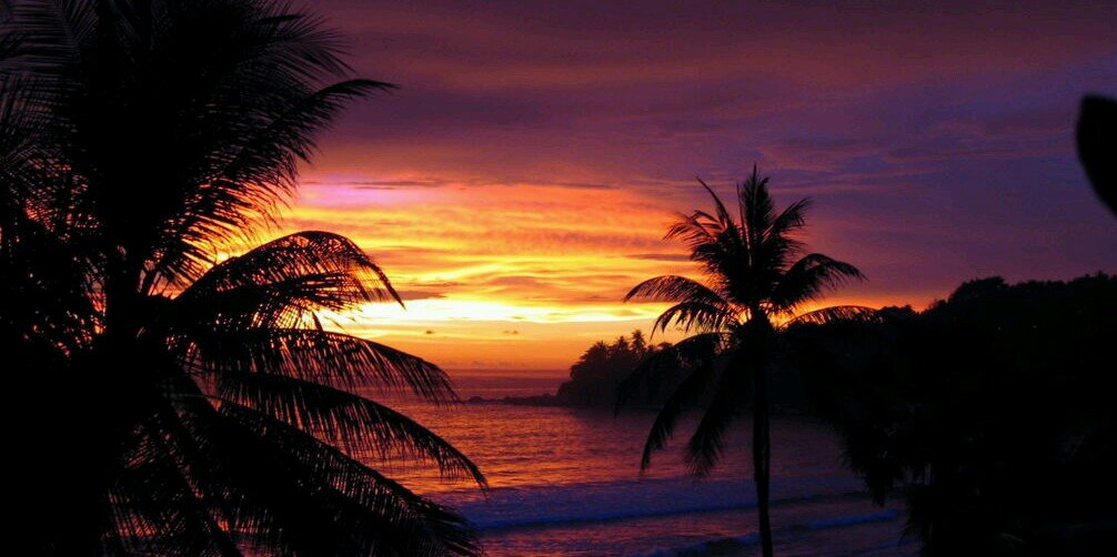 jonathan a watts banner