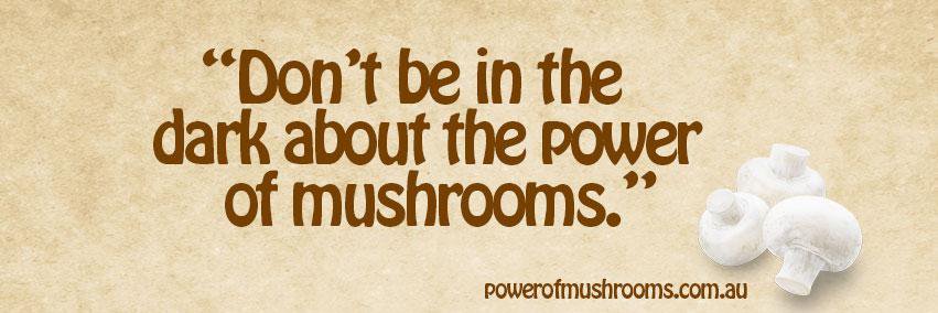 Mighty Mushroom banner