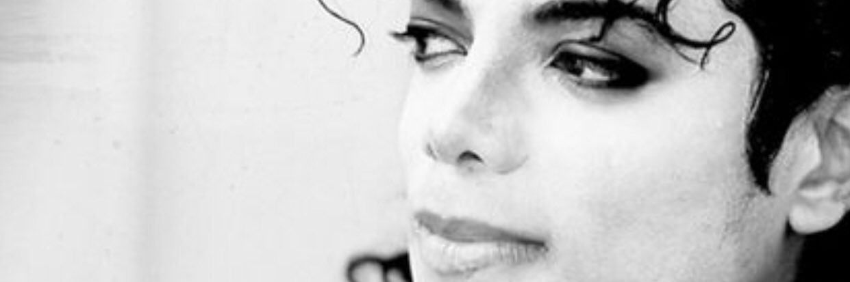 pytbutterflies7's profile banner image