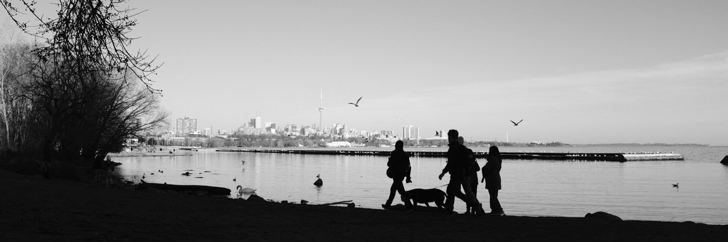 icohizon's profile banner image