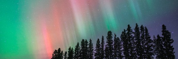 tracygregorash Profile Banner