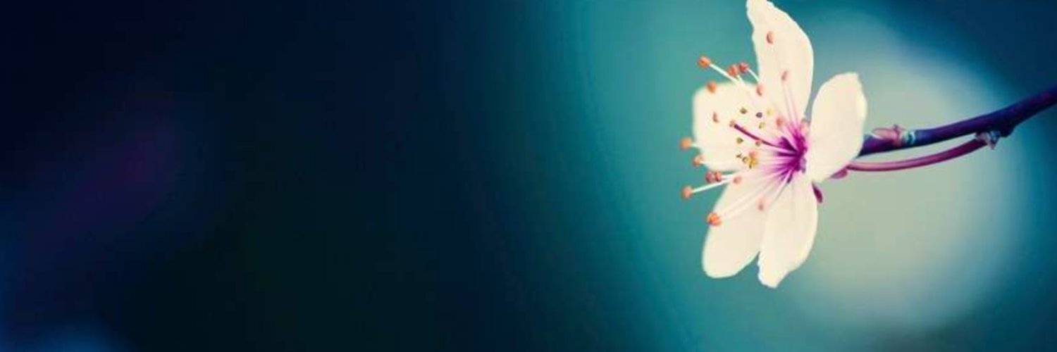pwitos's profile banner image