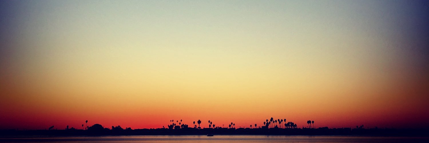 foxp2's profile banner image