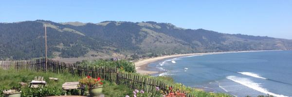 macantone Profile Banner