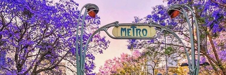 applecita's profile banner image