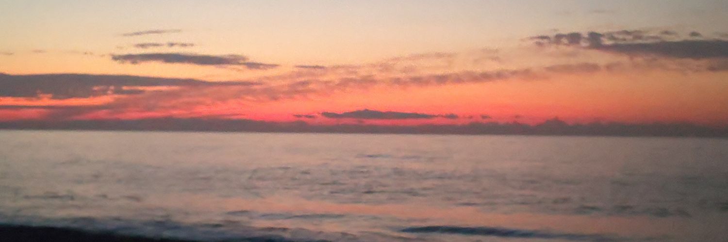 mozzi_com's profile banner image