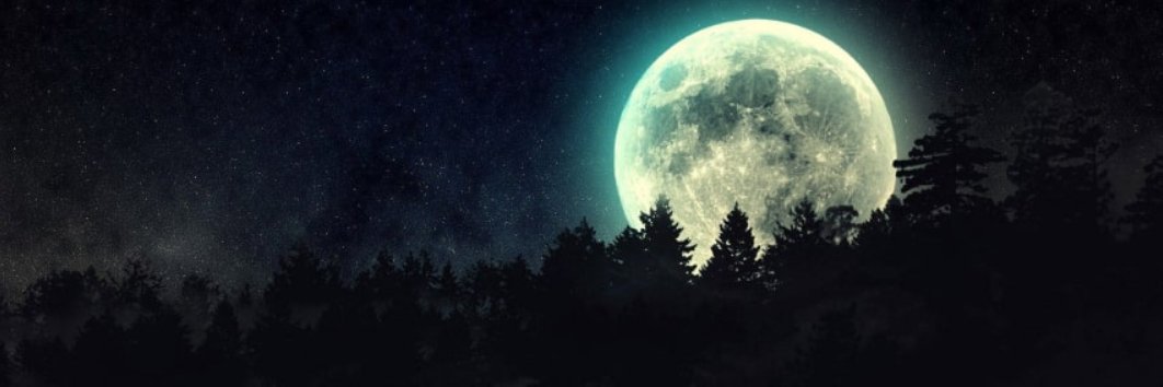 hachav CNFT 🂽🦊 ⭕✨ 🐙 | 🌐 🐐 banner