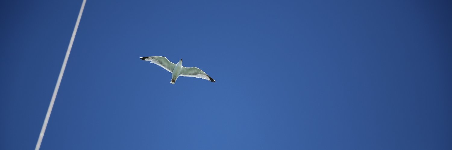 Totophe™ 机会 banner