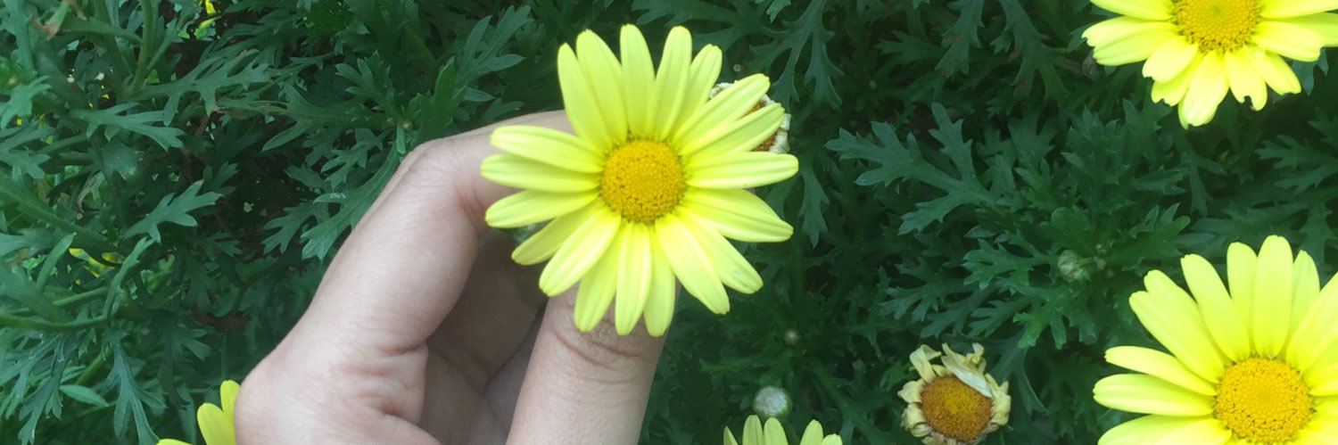 egitha_'s profile banner image