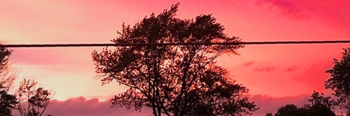 illekt_'s profile banner image