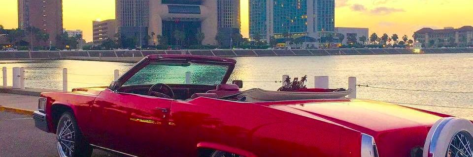 pimptyne's profile banner image