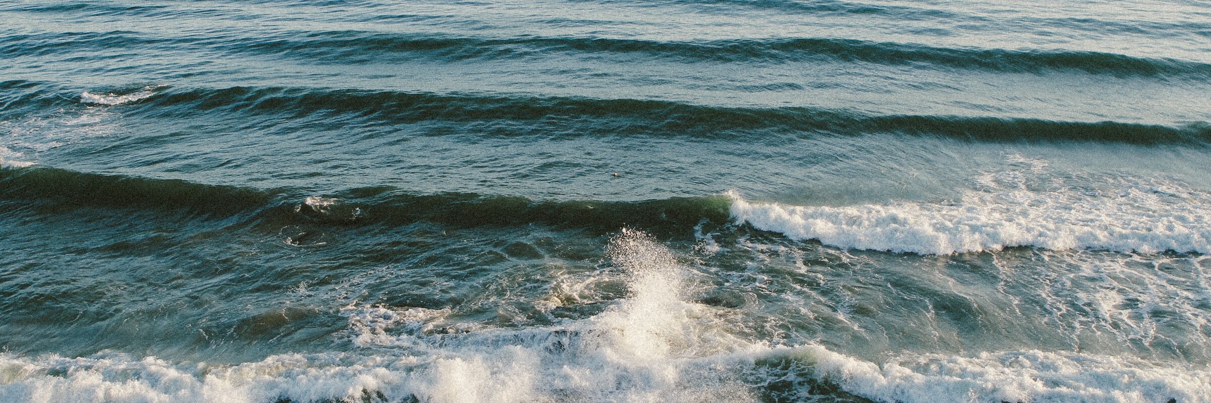 Mulch Stetson (@mulchstetson) / Posts / X