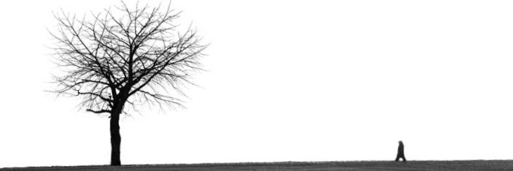 vetbert's profile banner image