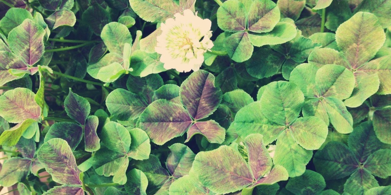 __bin__'s profile banner image
