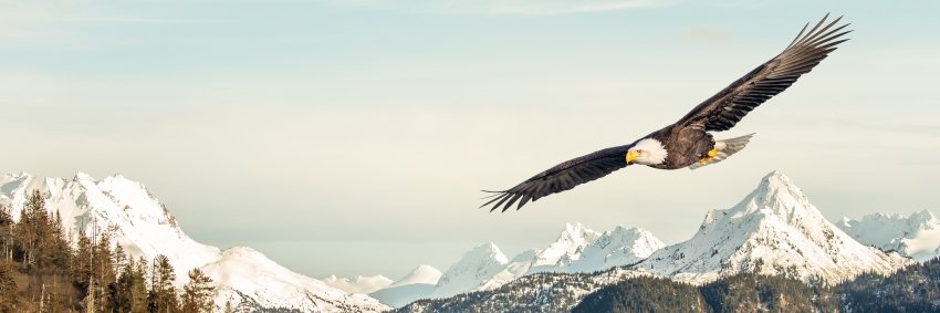 feyyyaz's profile banner image